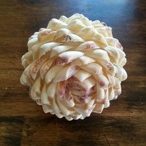 Sea Shell Sphere Home Decor
